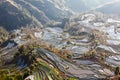 Laohuzui Terraced Field Scenic Area